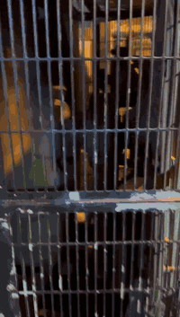 مولدة بيركنز 2300 ستندر راس توليد 400 KVA نظيفة ماكو بيها أي خلل
العنوان ديالى بعقوبة حي المعلمين
***********
