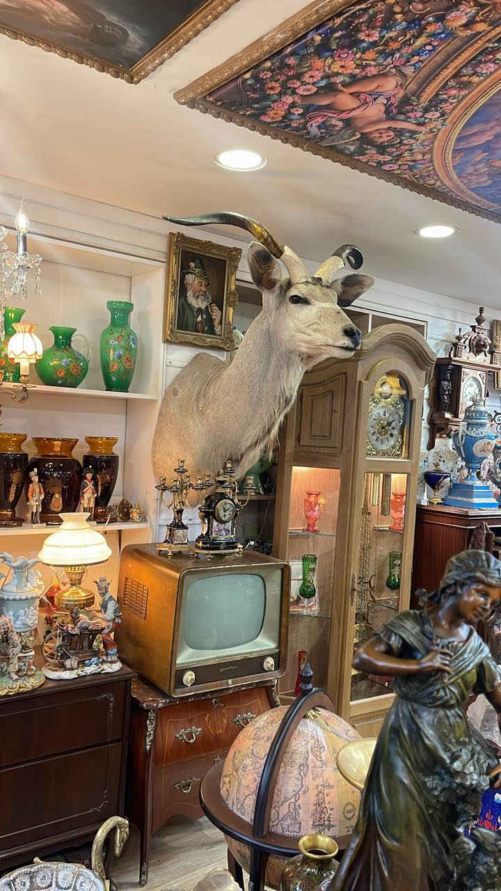 مجموعه من التحف الطبيعي الكندي قديم محل سليمانيه  سروري توصيل موجود *********** وات ساب
