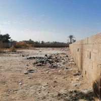 قطعة زراعية • بستان • قربيه السوك