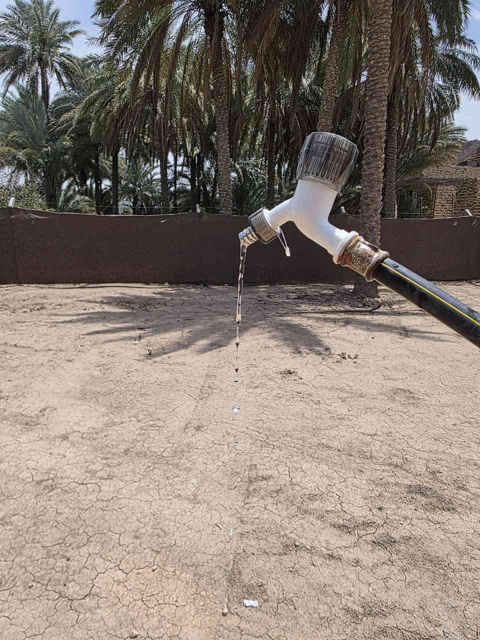 يالله قطعه ارض ملك صرف زراعي المساحه ٣١٠ متر 
مدفونه ومسيجه وبيه مي اساله وكهرباء 
القطعه موقعه بالطهمازيه ع الروائي الزغير 
ترهم سكن وترهم حديقه اله اهواي طرق 
سعره ٣٠ مليون وبيه مجال بسيط حك الجيه 
ماكو هيج اسعار يمه اله طريق ع شارع ١٠٠ واله طريق عالطهمازيه 
***********
