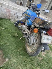 تايگر • ٢٠٢٣ • نضيف