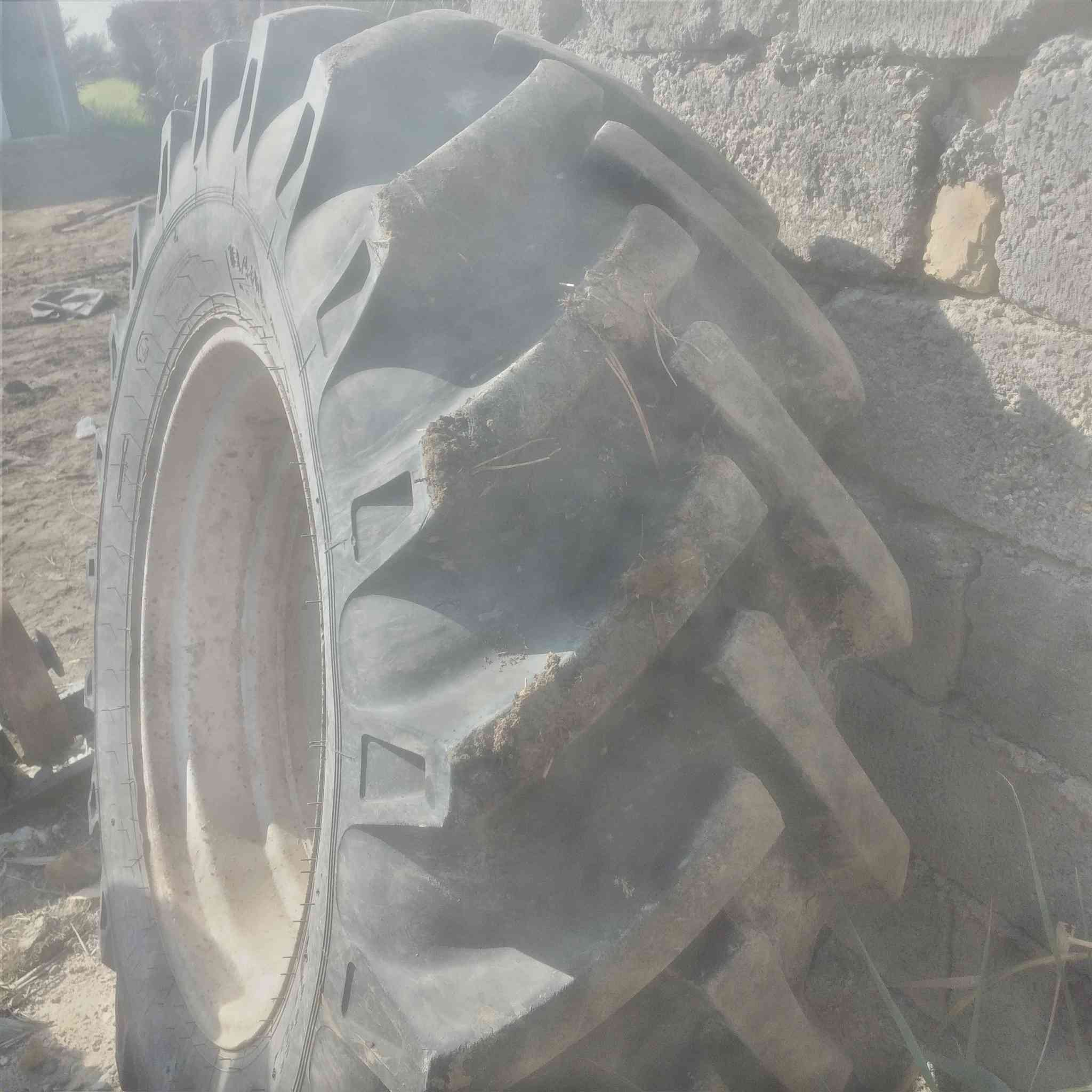 تواير للبيع كامله للبيع مال بلروس المكان النصر الشراي يتصل ***********
