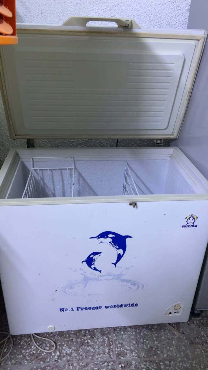 مجمده 12قدم ع فحص تجميد خير من الله 175الف بغداد المشتل


**إذا كنت صاحب هذا الإعلان وتريد حذفه لأي سبب، رجاءا أرسل رسالة إلى الدعم الفني**