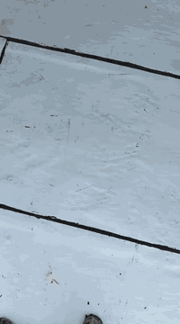 أيزوكام • عاكس حرارة • مانع رطوبة