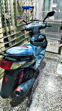 سكنس فحل للبيع بغداد الامين سعر 850 وبيها مجال  07705934995
