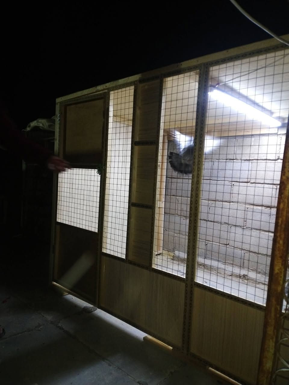 ياالله
ياالله
تم اكمال قفص لاحد الاخوه الطيبين
شغل شرط المتانه 
قياسه العرض 250
الارتفاع 140
النزال 150
للاستفسار تفضل خاص وتدلل
*********** واتساب
***********📞
