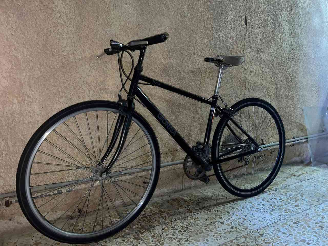 للبيع بايسكل Giorna C700 (جيورنا) 
بايسكل مختم ورياضي ، خفيف وسريع بالطريق
مشيته حلوه وسريع ، مناسب للفرات واستعمال يومي 👌🏼

✅ تايرات جديدات
✅ ويل خلفي أصلي
✅ كشن جديد موجود
✅ اسود لامع ، بعض الخدوش

البايسكل استعمال شخصي وأدامه مستمره ، مو تعبان
الكير ثابت عـ2 بس سريع وحسب المشي 

السعر 140 بي مجال بسيط
مكاني العمارة قريب على شناشيل تواصل خاص للشرايه


**إذا كنت صاحب هذا الإعلان وتريد حذفه لأي سبب، رجاءا أرسل رسالة إلى الدعم الفني**