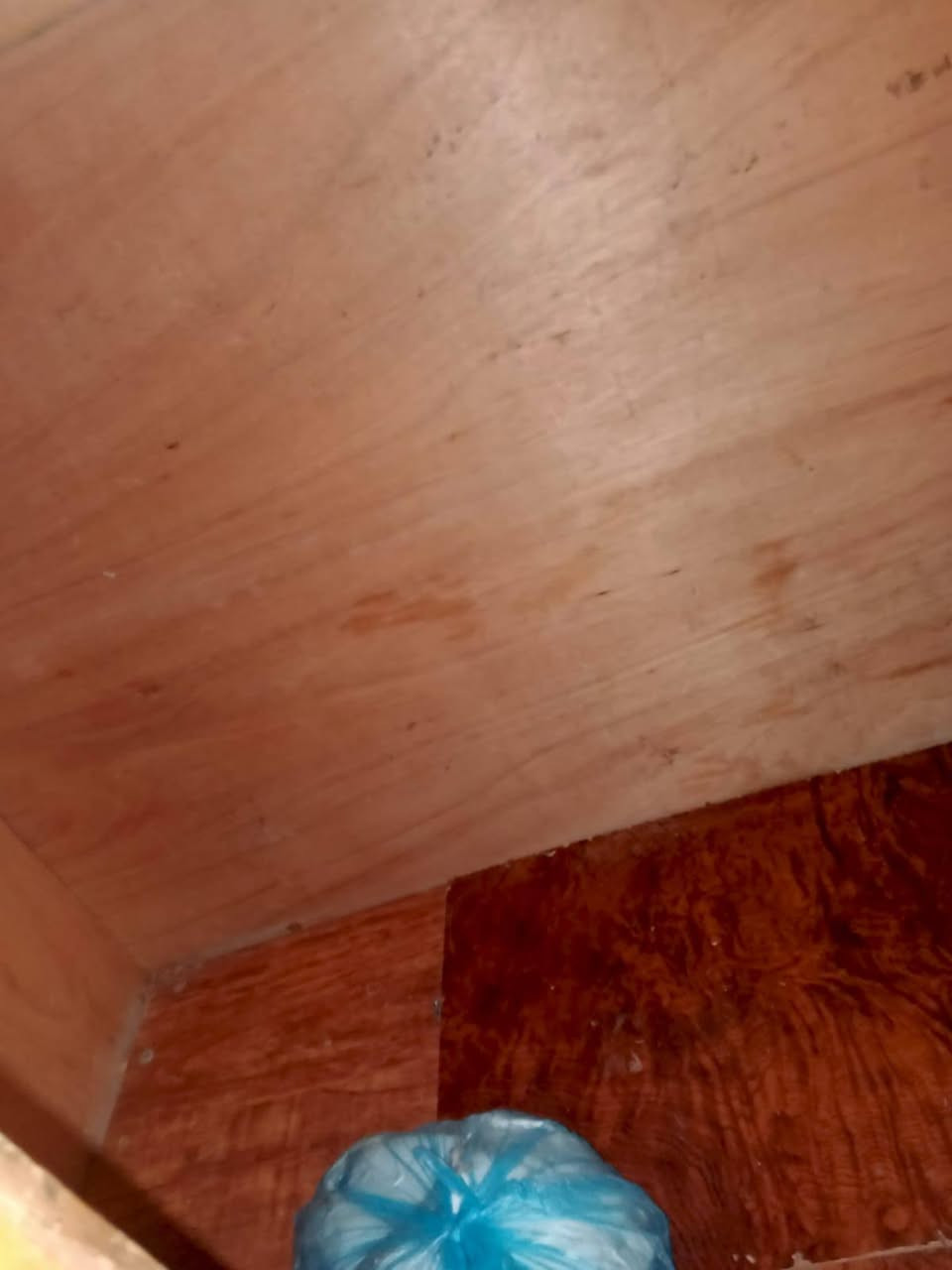 كاونتر المنضدي والملحق مااته ثنينهن
خشبهن صاج عاكس يعني خشب درجة اولة ميبيد مثلما مبينة صورته من الداخلة
بس الغلاف مالته تعبان MDF يحتاج صقل وصباغة

سعره هو والملحق ب250 وبي مجال للشراي


**إذا كنت صاحب هذا الإعلان وتريد حذفه لأي سبب، رجاءا أرسل رسالة إلى الدعم الفني**