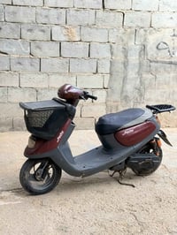منغولي • نضيفه • ترايك
