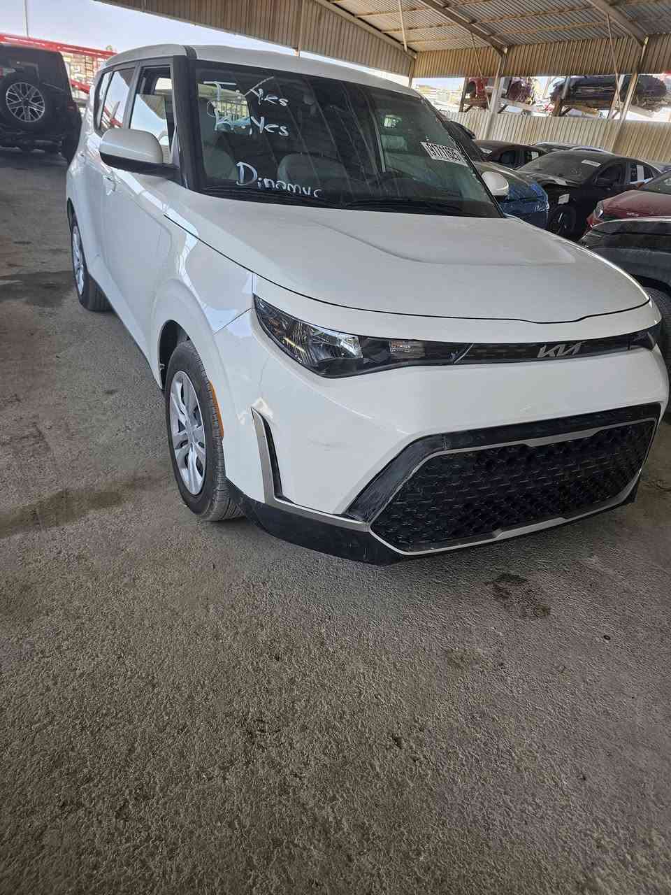 كيا صول امريكي موديل 24 الون ابيض بدون ايرباك بدون تبديل بدون شاصي وبدون ايرباك بدون تبديل السياره جديده حيل موجوده بعمان تريدها حره تريدها شهداء تدخل بسمك السعر اتصل على الرقم ***********
