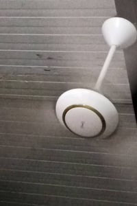 باسوك