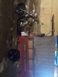 ام تي ار • شغاله • اوراق اصلية