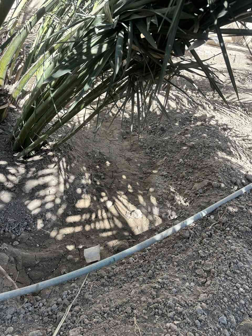 فسائل برحي حر بصرة ابي الخصيب


**إذا كنت صاحب هذا الإعلان وتريد حذفه لأي سبب، رجاءا أرسل رسالة إلى الدعم الفني**