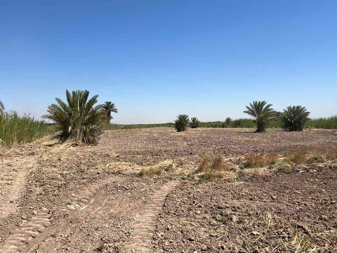 الهم صل على محمد وآل محمد 
أرض للبيع مساحة 3 دونم طابو زراعي صرف ( طابو صرف ) خدمات كاملة تبعد عن الشارع 80 متر

الموقع / شارع سدة محاويل
/ الشمامرة / أراضي الناصرية / مقابيل مدرسة العوفي الابتدائية 

لتفاصيل أكثر
 ***********
***********
