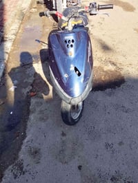 منغولي • كربلاء حي الرسالة • شاصي مكفول