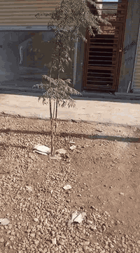 بناية تجارية • ١٨٠م • طابو زراعي