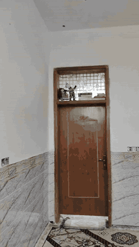 سلام عليكم
بيت 140 متر(( الحيدريه حي السلام)) ركن على ساحه بناء درجه أولى يحتوي على غرفه 5×4 استقبال 4×7 صاله 5×4 مطبخ 3×6 حمامات داخلي وخارجي رباط كونكريت بناء طابوك السقف صب كونكريت سيراميك كهرباء بواري دفن تأسيس مي ومجاري الامل الشريف مصري درجه أولى  الطابق الثاني مبني نص حديد درجه اولى البيبان خشب جاو درجه اولى محتاج تشطب بسيط تجي تشوف شوكت ميعجبك للتواصل ***********
