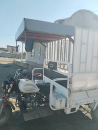 محجل ستوته بعيره كامل مكمل السعر 100وبيه مجال قليل 07752185868