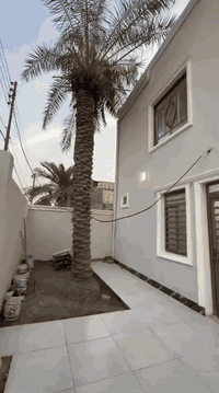 منطقة البطاط • ٣٢٠م • طابو صرف