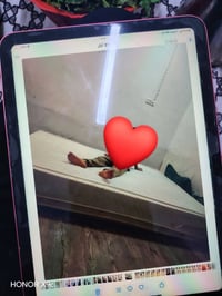 دوشك نفرين • سفنج يخبل • نضيف