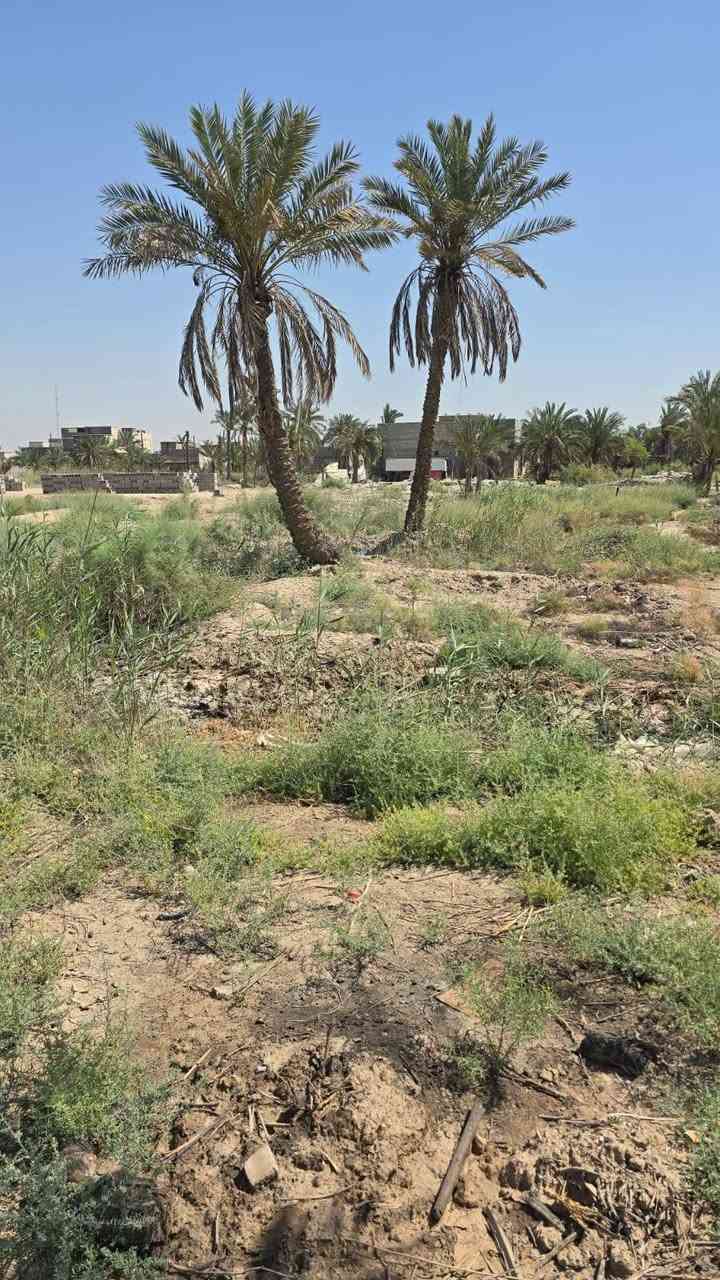تقسيم جديد واسعار جدا مناسبه ومساحات مختلفه شكد تردون موجود سعر 200متر 20مليون وبيه مجال نوع العقار طابو مالك صرف زراعي عراقي سند 25 وعدنه 200متر على تبليط سعره 25 مليون العنوان بصره أبي الخصيب منطقه باب العريض تبعد على سوك أبو الخصيب جبير مايقارب 500متر الاستفسار اتصل ***********
