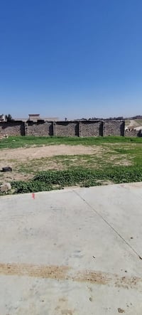 القوسيات • ١٠٠م • خدمات كاملة