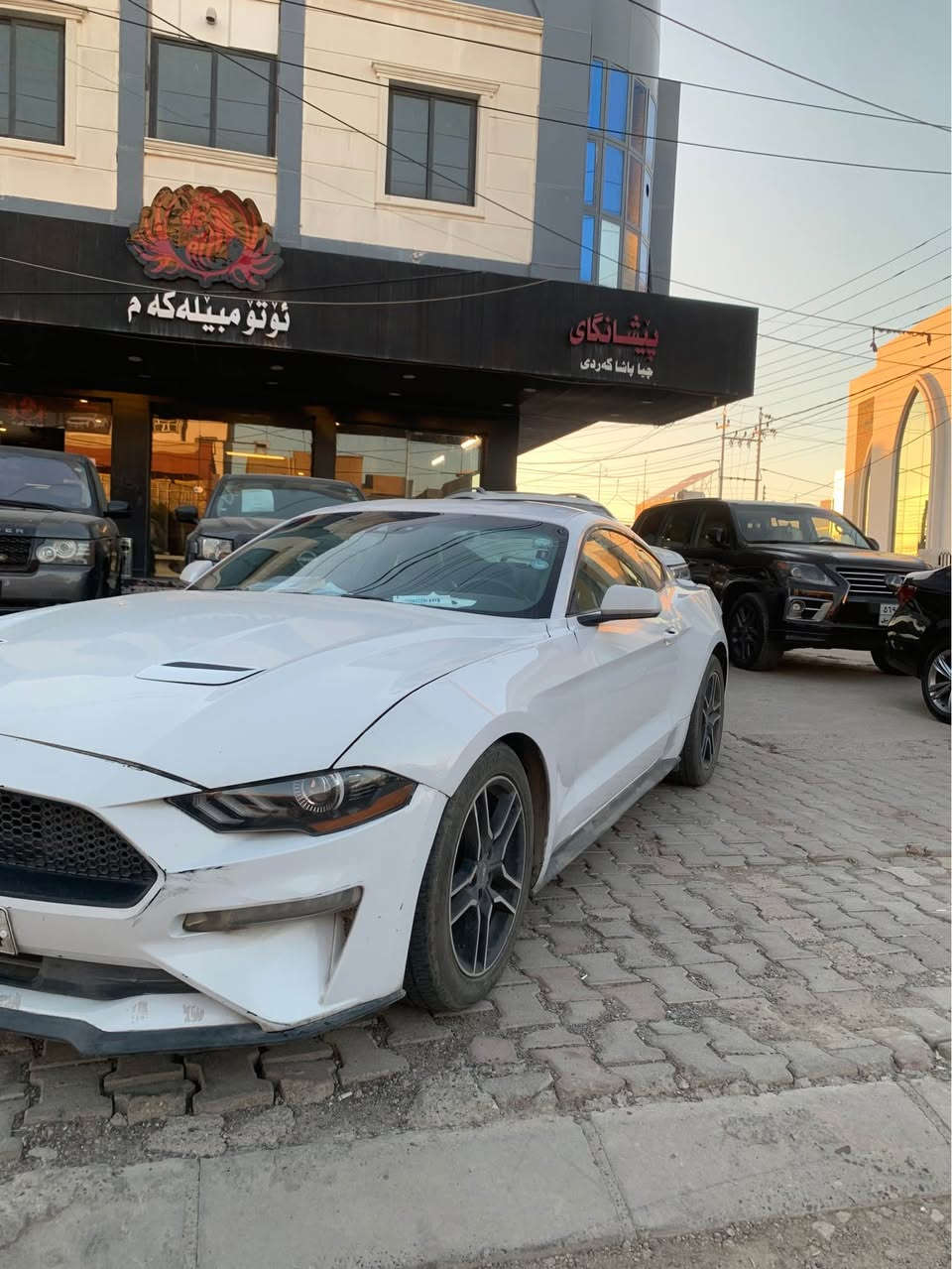 ▪️موستانج / mustang 2021 ▪️
▪️مواصفات / primum / محرك : V4 .2,3 كبس
▪️رقم اربيل سنوية جديد ، ماشي 46 الف ميل 
▪️بولنت جاملغ صبغ ، قطعتين مبدل بيلادي 
▪️بدون دواخل ، ايرباك فقط بردة طاك راجع سيستم 
▪️عنوان اربيل / *********** واتس اب ▪️

▪️سعر ( ١٦٩ $ ) معاملة ▪️ أربيل, العراق
