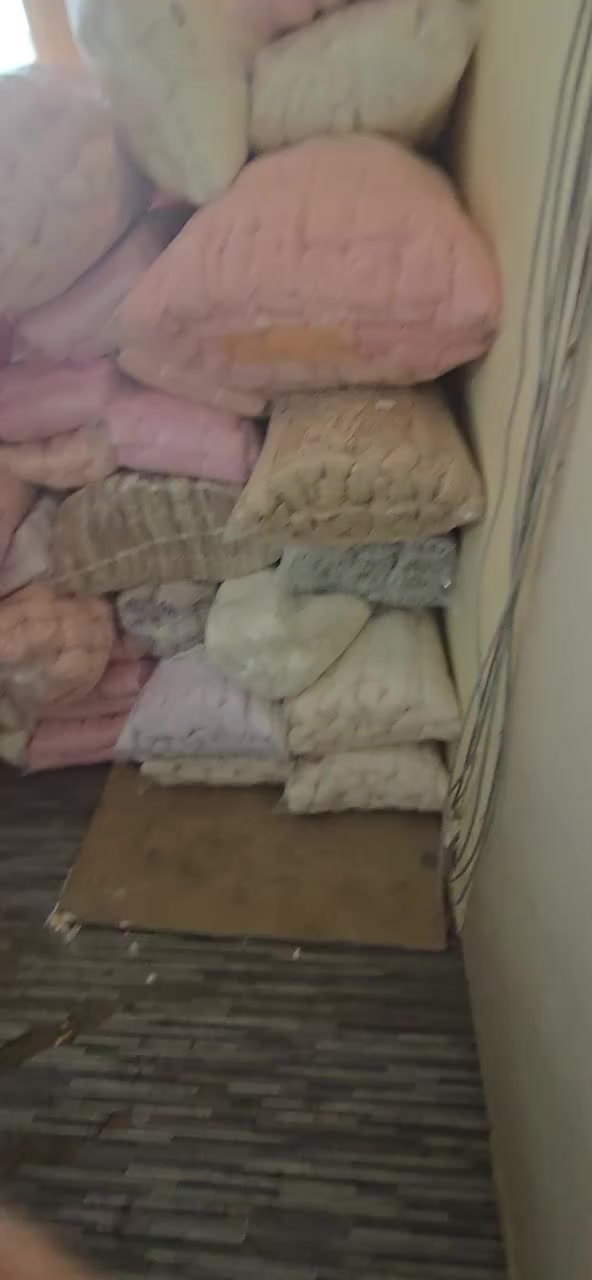 يرجى متابعة الصفحة ليصلكم كل جديد


**إذا كنت صاحب هذا الإعلان وتريد حذفه لأي سبب، رجاءا أرسل رسالة إلى الدعم الفني**