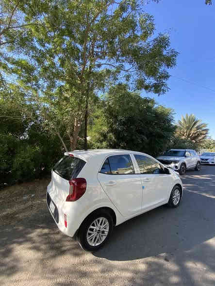 السلام عليكم
كيا بيكانتو ٢٠٢٣ خليجي رقم بغداد
السياره جديده جداده الشركه ماشيه ٨٠٠٠ الاف فقط فابلون الشركه بعده عليها
محرك الجبير اربعه سلندر
مواصفات السياره
شاشه جبيره 
كامره دواره
فول تحكم استيرن
مخارج UsB
اربع جام كهرباء
كل شي بالسياره الحمدالله صدر مكينه كير بوضع الشركه

السياره صار بيها شخط بالجاملغ الامامي وانصبغ نص جاملغ شرط بدون اي فتح بمكانه انصبغ نص جاملغ

مكان السياره بغداد 
***********
