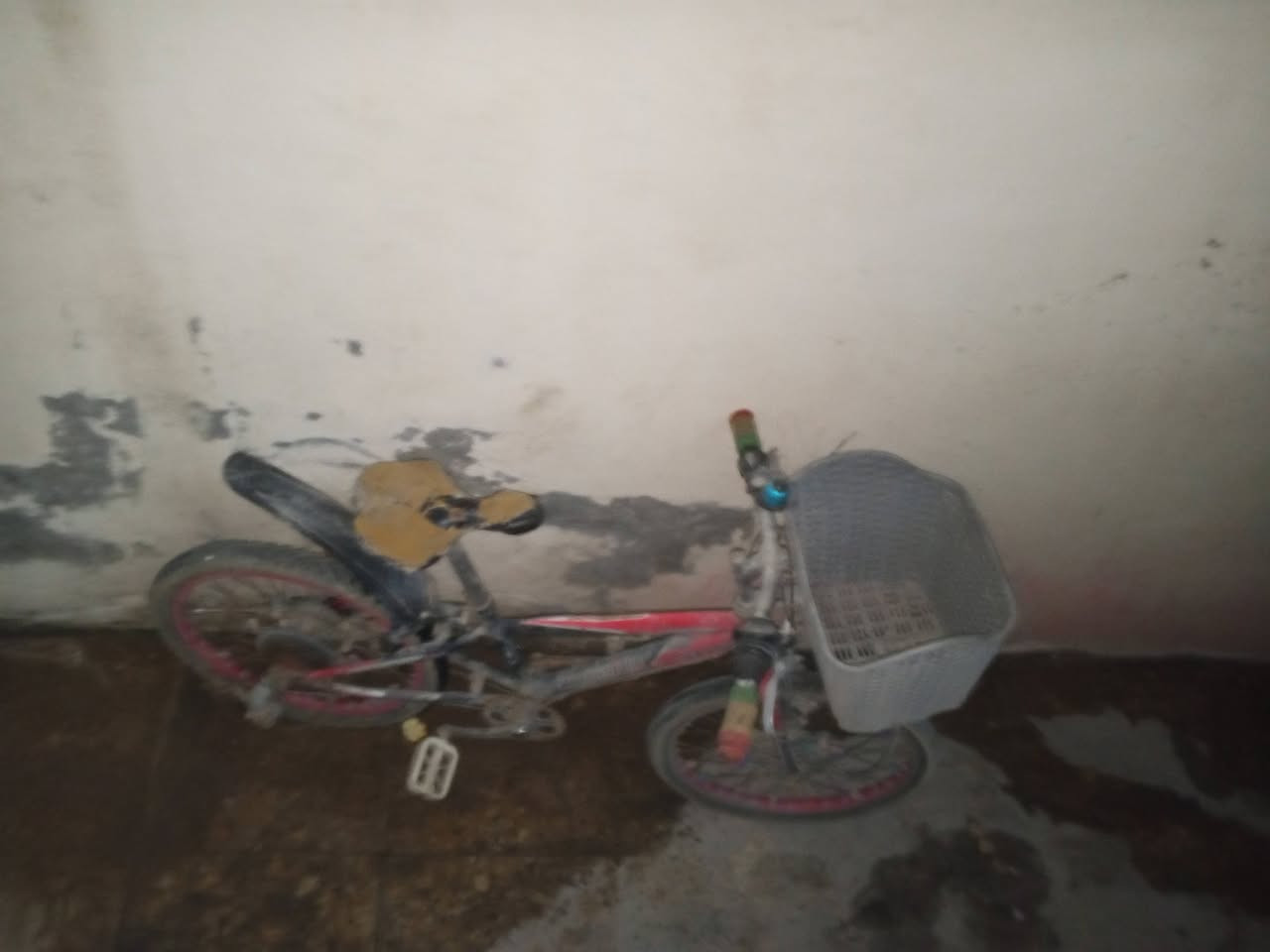 س
سلام عليكم بايسكل ياباني للبيع حجم 20 بس كشن قمجي مال بريك خلفي العنوان بغداد مدينةالصدر رقم *********** السعر 30بي مجال
