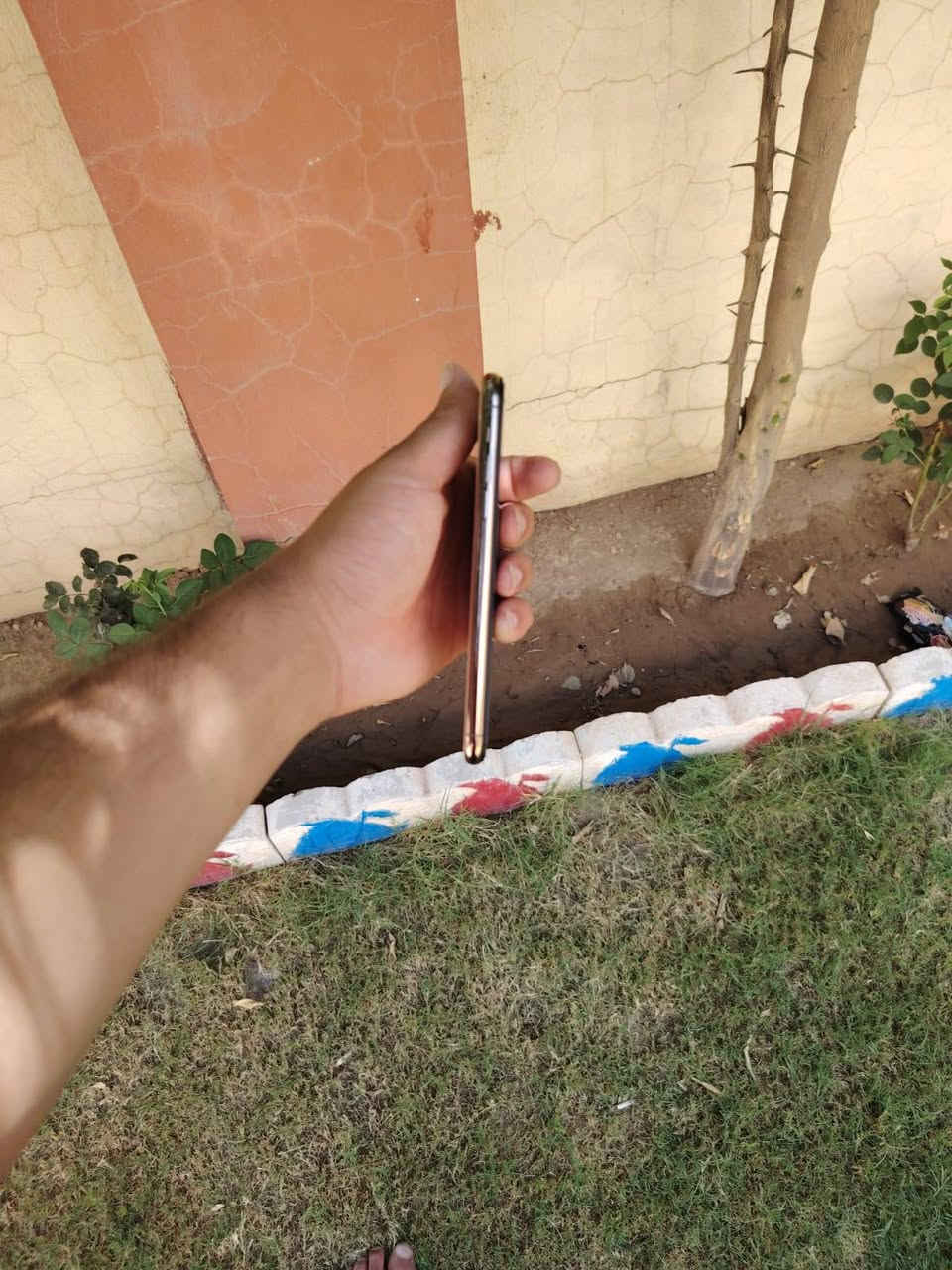 ايفون 11برو ماكس
لون ذهبي لون مميز 
ذاكرة 256
بطاريه 75 بلاديه بلحاسبه 82
فيس ايدي واكف بلتحديث
الضهر مفطور 
جهاز نضافه خير من الله 
بوبجي 60فريم
جهاز مال جناي 
وياه لزكه 🎁
وياه كفر 🎁
للبيع او مراوس حسب القناعه 
***********
