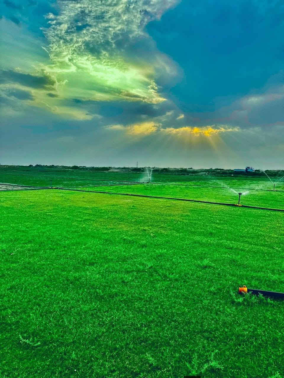 اسلام عليكم يوجد لدينا ثيل طبيعي للبيع بكافة انواعها ثيل هندي اسباني ايطالي الانكليزي فرنسي وجودة ثيل ممتازة شرط قطعة ولون 🌲☘️ يمكننا انشاء الملاعب الرياضيه والمنتزهات والدوائر الحكومية والحدائق العامة والحدائق المنزلية والمشاتل والحدائق الأهلية ،🌲 وخدمة توصيل مجاني لكل المحافظات 🚘 يرجى الاتصال على الرقم ***********

