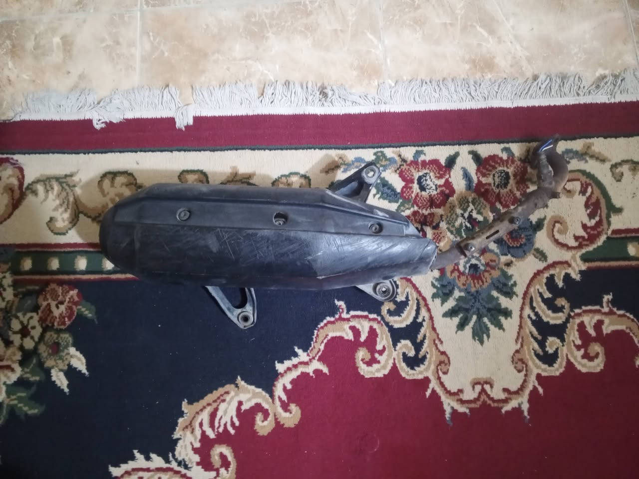 السلام عليكم غراض سكنس جبلي مال تفصيخ ( اسعار ثابته رجائاً ليخابرني يعامل اسده بوجه) ***********
