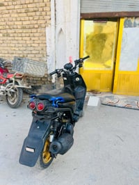 سكنس جبلي • مكفولة • الزيتون