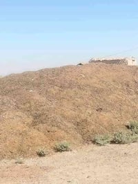 يوجد دمن غنم فول وين بكانك اجيك متوجد كل المحافظات رقم تليفون 07705003...