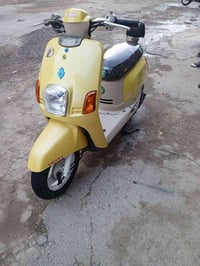 بصره • معقل • للبيع