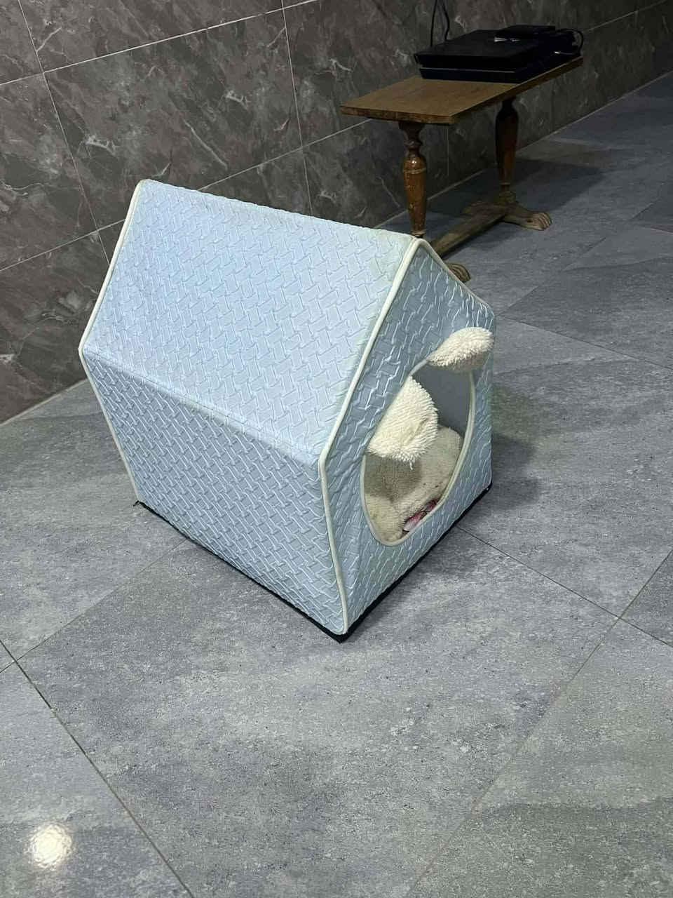 للبيع بيت قطة موصل ايسر الشري يدفع سعر


**إذا كنت صاحب هذا الإعلان وتريد حذفه لأي سبب، رجاءا أرسل رسالة إلى الدعم الفني**