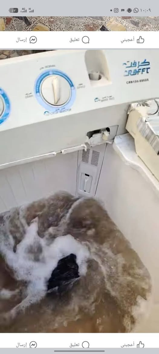 مجموعة غراض للبيع شرط الفحص والنضافه الشراي يخابرني اويراسلني واتساب هذا رقمي ***********
