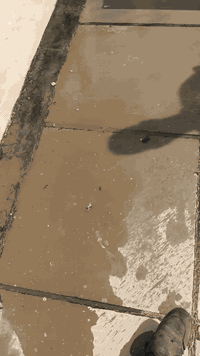 مع اقتراب فصل الشتاء
عمل ماستك السطوح في كافه مناطق بغداد

عمل درجه اولى. ضمان وقتناع صاحب المنزل قبل. اخذ القيمه. 

قلع الماستك. القديم 

اضافه ماستك جديد 

كوي الماستك 

- [ ] قلع الاشتايكر المتكسر او الفاطر  او الخاسف واعاده. تطبيك شتايكر جديد 

للستفسار  الاتصال على الرقم وتس اب

***********‬‏

 او مراسله الصفحه
