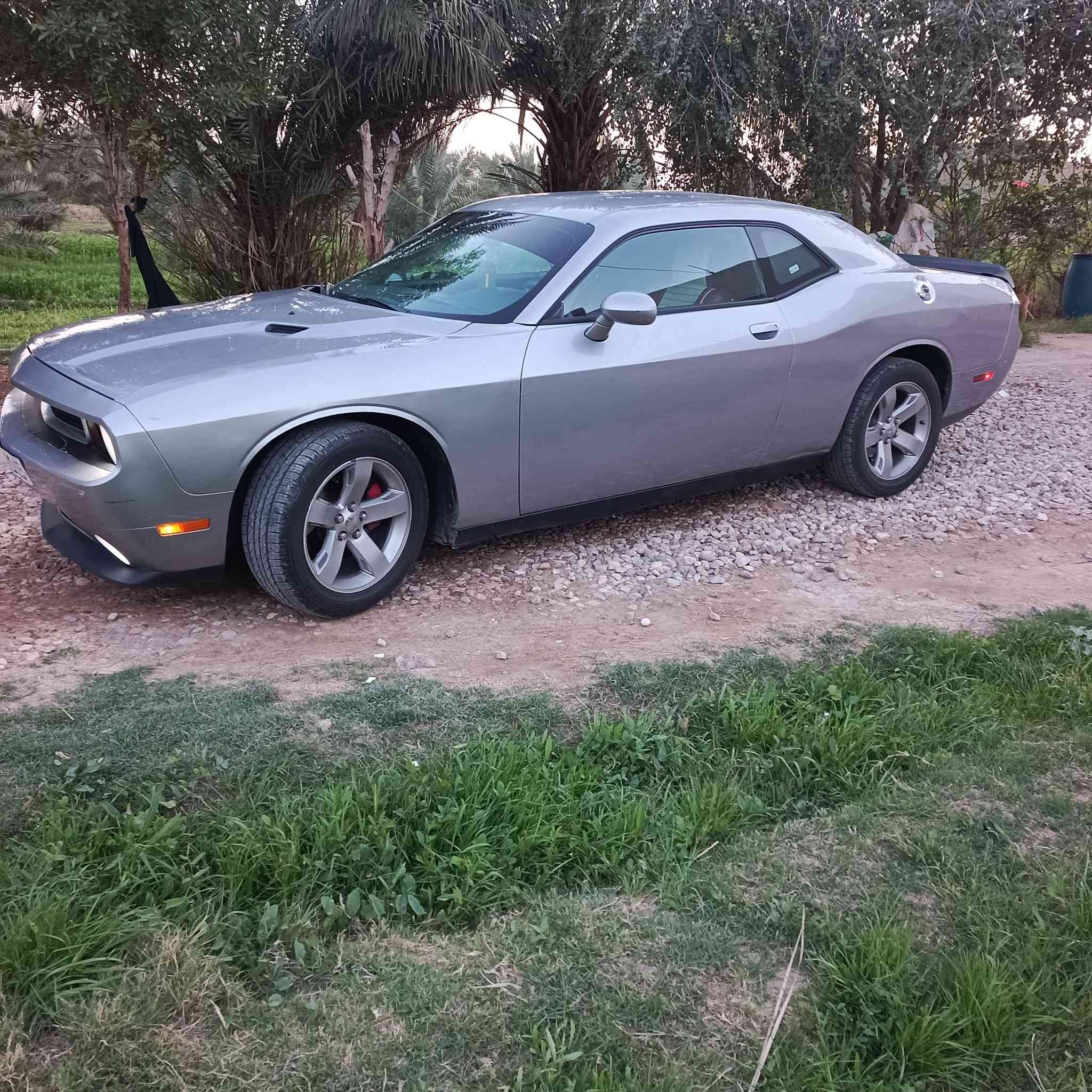 سلام عليكم جاالنجر البيع موديل 14 رقم بغداد دولي محرك 3600 شرط مامفتوح ماشيه 125 سياره كلين بدون حادث فقط بيه جاملغ المامي كلير بدون فتح ولا تبديل سياره كله ع وضعه شركه شكد ماتوقع سياره نضيفه الله يشهد مواصفات. سياره بصمه تشغيل بصمه بواب تشغيل عن بعد تبريد قطعتين محرك كير تبريد حداديه تخم تاير جديد كهربائيات كله شغاله بل عافيه ع ياخذه مكان سياره بابل الحمزه الغربي سعر 130 وبيه مجال نتصال ع رقم ***********   ‏‪***********‬‏
