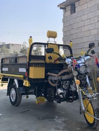 ستوته • فحل عالي • الخالص زنبور