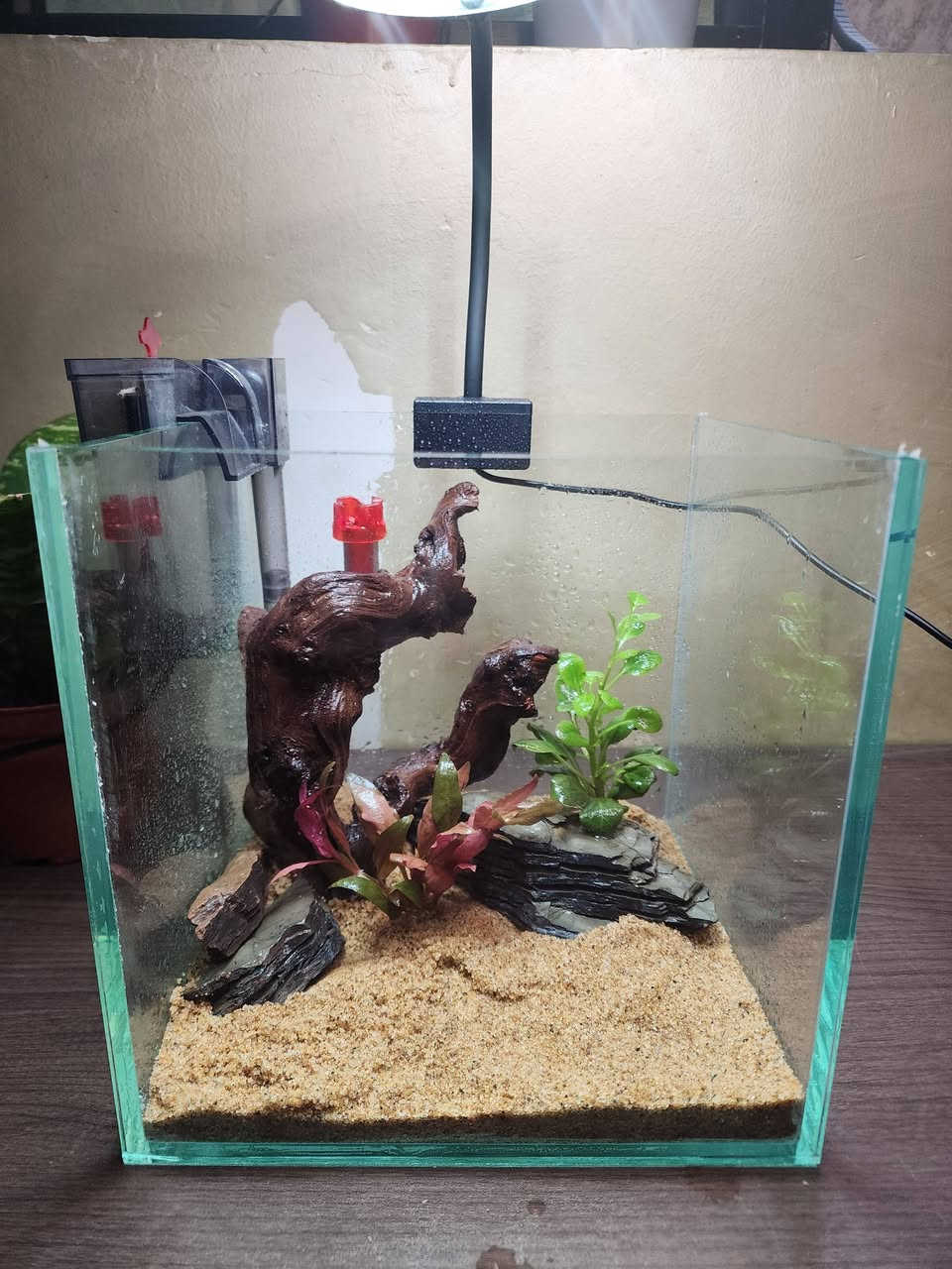 تجهيز طلب حوض  20×20×20
كامل الملحقات 🌿🐠

السعر ٤٠ الف ✅️
يوجد توصيل  لجميع المحافظات🚛


**إذا كنت صاحب هذا الإعلان وتريد حذفه لأي سبب، رجاءا أرسل رسالة إلى الدعم الفني**