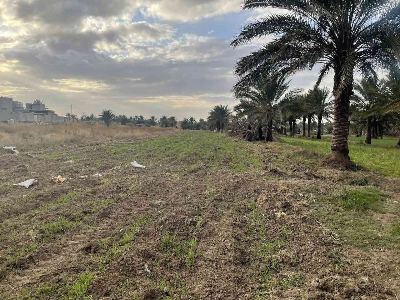 دونم للبيع عقد 35في كربلاء شارع الرابط الواجهه 17عالشارع مباشرة للمعلومات الاتصال/*********** /***********
