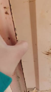 أبواب محل للبيع مابي خياس نضافه درجة أولى قياس الارتفاع 3متر او اقل شو...