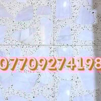 ١ض١١ • وصف غير واضح