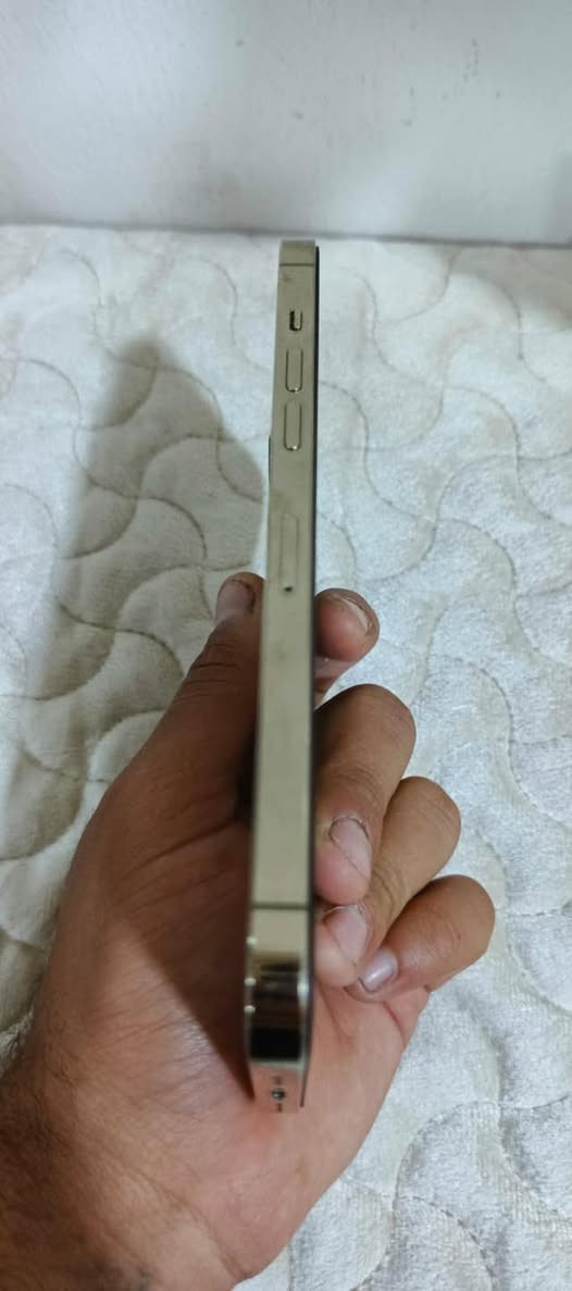 💎12 برو ماكس 
💎ذاكرة 128
💎تك سيم
💎مبدل شاشةGX
💎مبدل بطارية 100
💎الجهاز نضيف 
💎السعر 330 وبيه مجال حك جيتك
💎رقم اتصال بيه وتساب ***********
