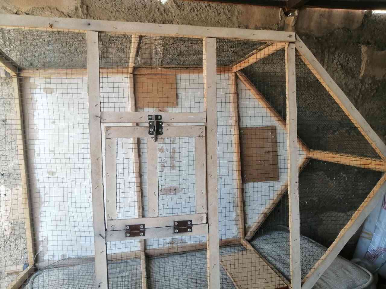 الييع قفص طيور
الواحد ١٠ الف


**إذا كنت صاحب هذا الإعلان وتريد حذفه لأي سبب، رجاءا أرسل رسالة إلى الدعم الفني**