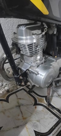 دراجة بدون أوراق • نضيفه