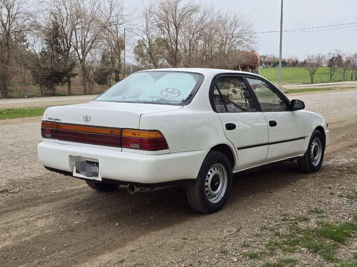 توێتا کرۆلا 1994 
گێر تۆماتیک دەعم و لێدراوی نییە بەشرت بۆیاخی نییە چوار تایە و ویل لۆک تەقە و ڕەقەی نییە چرکە و گڵایەک بشکێنە مەکینە ئەورپی لۆکم بۆ بەستووە نەکراوەتەوە بەشەرت کارەبای گشتی مەزبوتە ئاڕم پلاستیک بەشەرتی ئاڕم و ئەولیات و غەرامە 
*********** السليمانية, العراق
