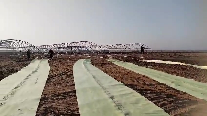 #سلام عليكم اخوان متوفر بيوت بلاستيكيه للزراعة وتربية الدواجن مع جميع مستلزماتها نوعيه لبناني جديد مامشتغل                     حديد ثقيل مغلون. الطول 52متر والعرض 9 متر       
(#متوفر نايلون تركي وسعودي ضمان 3 سنوات)     
(#متوفر نايلون بستره سعودي .#متوفر ايضا ضل اخضر ضمان 6 سنوات) .(#متوفر بيوت مشاتل للاشجار والنخيل) 
(#متوفر تجهيز حقول دواجن كرسته وعمل. حديد وسيم ونايلون وعازل ونايلون مع ضمان 3 سنوات حقيقي)
للاستفسار اكثر ***********/***********
العنوان بابل محاويل ناحيه الامام الطريق السريع متوفر توصيل ونصب البيوت البلاستيكية في كافه المحافضات

